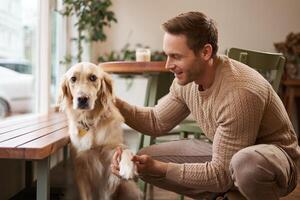 Porträt von jung gut aussehend Mann mit seine Hund, Sitzung im Cafe, golden Retriever gibt Pfote und sieht aus beim seine Inhaber foto