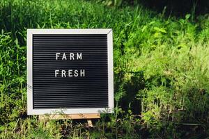 Brief Tafel mit Text Bauernhof frisch auf Hintergrund von Garten Bett mit Grün Kraut Dill. organisch Landwirtschaft, produzieren lokal Gemüse Konzept. unterstützen lokal Bauern. saisonal Markt foto