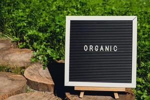 organisch Botschaft auf Hintergrund von frisch umweltfreundlich bio gewachsen Grün Kraut Petersilie im Garten. Landschaft Essen Produktion Konzept. örtlich produzieren Ernte. Nachhaltigkeit und Verantwortung foto