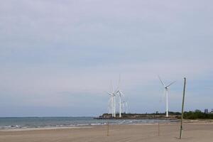 Holzrasen Strand Zustand Park auf See erie im Büffel Neu York foto