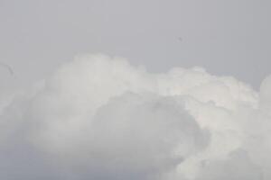 Sturm Wolken im das Himmel während Sommer- foto