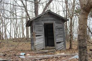 Ruinen von ein verlassen Haus im das Wald foto