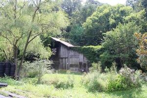 Landschaft um ein Bach im Gatlinburg Tennessee foto