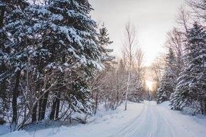 Schneemobilweg in der wilden Natur foto