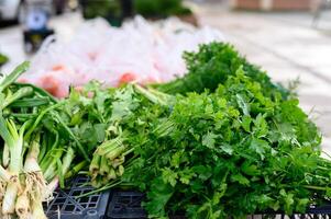 Schalotten, frisch Petersilie, Dill, Rucola, Tomaten. organisch Gemüse. Handel auf das Straße von ein Tablett. gesund Essen Konzept. klein Bauernhof Geschäft Unterstützung. schließen hoch. selektiv Fokus foto