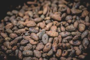 dunkelbraune Kakaobohnen