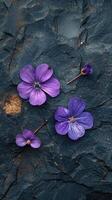 winzig lila Fußboden Blumen Nahansicht foto