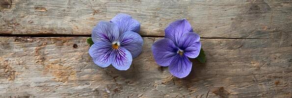 winzig lila Fußboden Blumen Nahansicht foto