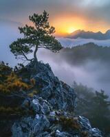 neblig Berg Morgen Landschaft foto