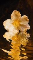 schwebend Blume mit Gelb Blütenblätter foto