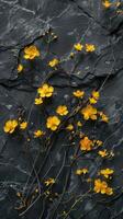 Fülle von klein Gelb Blumen auf dunkel Stein Hintergrund foto