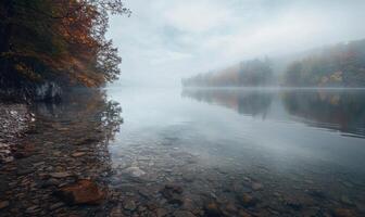ein neblig Morgen beim das See während das früh Tage von Herbst foto