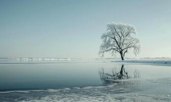 ein einsam Baum Stehen auf das gefroren Ufer von ein See foto