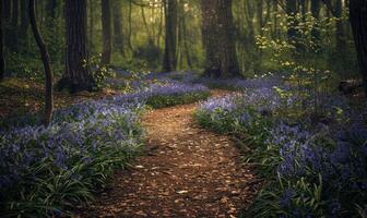 ein Wicklung Weg durch ein üppig Wald Teppichboden mit beschwingt Glockenblumen foto