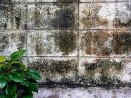 grau Beton Mauer zum Hintergrund. foto