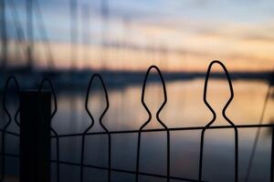 Silhouetten von Pflanzen beim Sonnenuntergang im das Hafen, Hintergrund foto