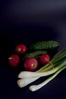 das zuerst Frühling Gemüse auf ein schwarz Hintergrund, Grün Zwiebel, Rettich, Gurke foto