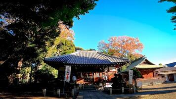 Hiatsuka Schrein, ein Schrein im Kaminakazato, Kita-Ku, Tokio, Japan. es hat gewesen Verankerung hachiman Taro Abonnieren Nein yoshiie, ein Held von das spät heian Zeitraum, und seine zwei jünger Brüder seit 1118. foto