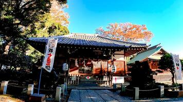 Hiatsuka Schrein, ein Schrein im Kaminakazato, Kita-Ku, Tokio, Japan. es hat gewesen Verankerung hachiman Taro Abonnieren Nein yoshiie, ein Held von das spät heian Zeitraum, und seine zwei jünger Brüder seit 1118. foto