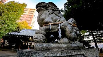 Schrein Wächter Hunde, Ansatz und Schrein Gebäude.Takezuka Schrein, ein Schrein gelegen im nimm Notsuka, adachi Station, Tokio, Japan es ist genannt Das während das 978-982, ise jingu war in Auftrag und gebaut, foto