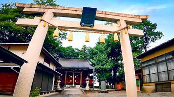 torii von Hallo Schrein, hie Schrein von Kawagoe daishi Küchenchef, ein Tempel im Kawagoe Stadt, Saitama Präfektur, Japan foto