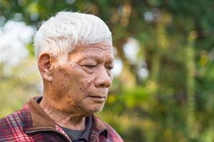 Porträt von ein Alten Mann besorgt und suchen Nieder während Stehen im ein Garten. Raum zum Text. Konzept von alt Menschen und Gesundheitswesen foto