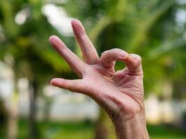 Finger von ein Senior Frau zeigen alles ist in Ordnung während Stehen im ein Garten. Raum zum Text. Konzept von alt Menschen und Körper Teil foto