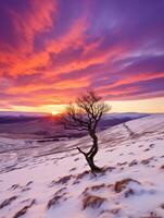 ein Baum auf ein schneebedeckt Hügel und Sonnenuntergang Himmel. Winter Landschaft foto