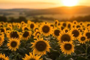 ai generiert Sonnenblume Feld beim Sonnenuntergang im Sommer. Sonnenblume natürlich Hintergrund. foto