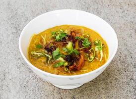 würzig Hähnchen haleem mit gebraten Zwiebel serviert im Gericht isoliert auf Hintergrund oben Aussicht von indisch Gewürze und pakistanisch Essen foto