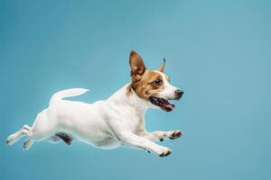 ai generiert froh Hund Springen gegen Blau Hintergrund foto