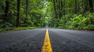 ai generiert von Bäumen gesäumt Straße im Wald foto