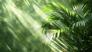 ai generiert verschwommen Palme Baum im Sonnenlicht foto