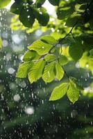 ai generiert Regen fallen auf Grün belaubt Baum foto