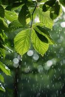 ai generiert Regen fallen auf Grün belaubt Baum foto