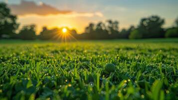 ai generiert hell Sonne scheint durch Gras foto