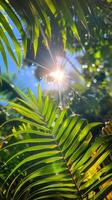 ai generiert Sonne leuchtenden durch Palme Baum Blätter foto