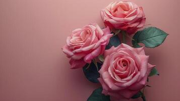 ai generiert drei Rosa Rosen mit Grün Blätter auf Rosa Hintergrund foto