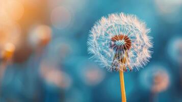 ai generiert Löwenzahn weht im Wind foto