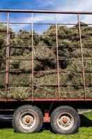 trockene Heuhaufen in einen Transportwagen foto