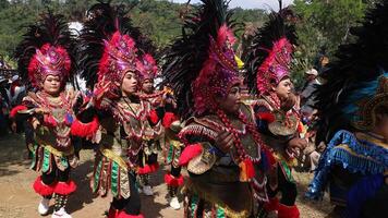 reog traditionell tanzen von Indonesien beim das indonesisch Unabhängigkeit Tag Karneval Fall. foto