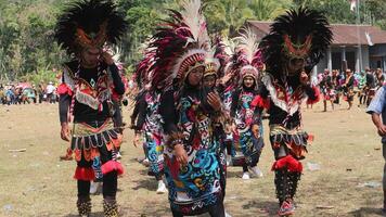 reog traditionell tanzen von Indonesien beim das indonesisch Unabhängigkeit Tag Karneval Fall. foto