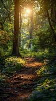 ai generiert Sonne scheint durch Bäume im Wald foto