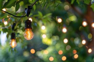 Licht Glühbirnen hängend von ein Baum foto