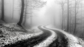 Wicklung Wald Straße im Winter Nebel foto