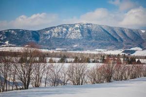 Carleton St-Joseph Mountain im Winter