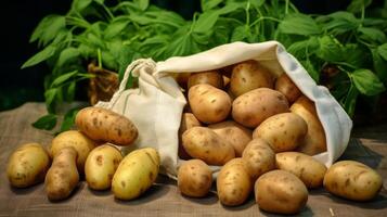 Öko freundlich Tasche randvoll mit Kartoffeln foto