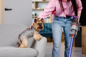 ein süß jung Frau ist Staubsaugen beim Zuhause mit ein schnurlos Vakuum Reiniger und streicheln ihr süß wenig Hund mit ihr Hand. foto