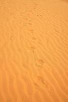 alt Fußabdrücke im das Sand im das Wüste. foto