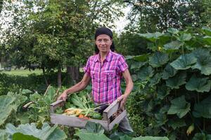 ländlich Frau mit das Ernte von Gemüse von das organisch Garten im ein hölzern Kiste foto